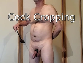 Cock Cropping