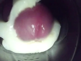 Inside of my Fleshlight with Creampie